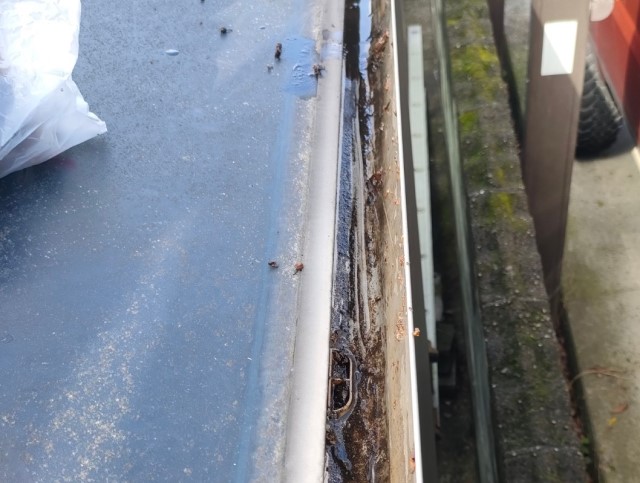 カーポート　雨樋　清掃後